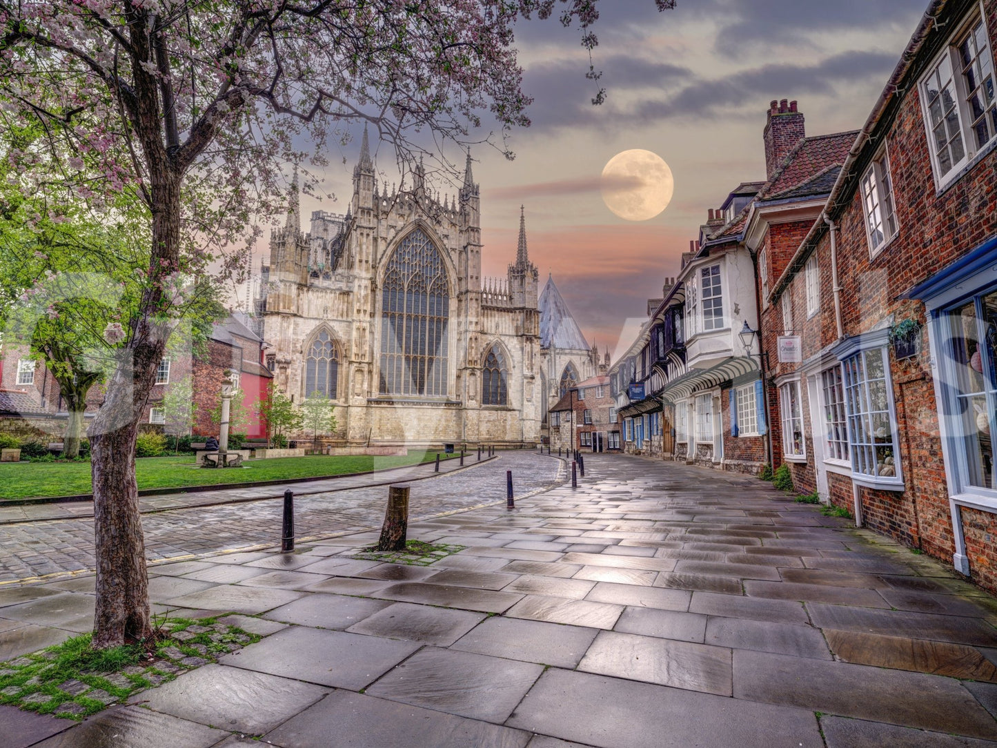 Charming street and buildings
