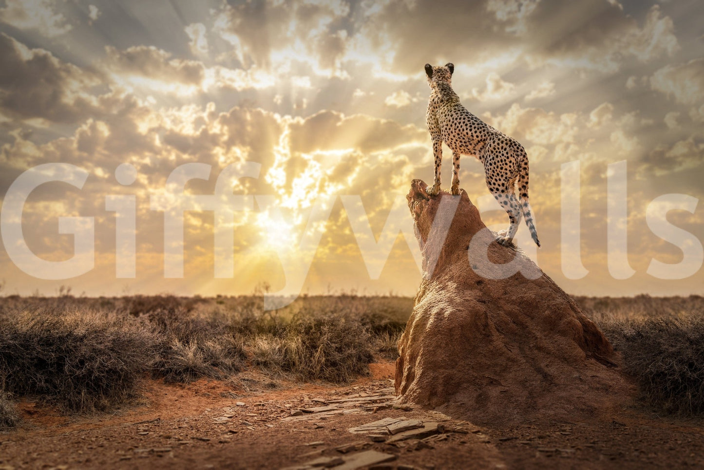 Realistic safari scene wall mural for a warm and inviting entryway., GD5900