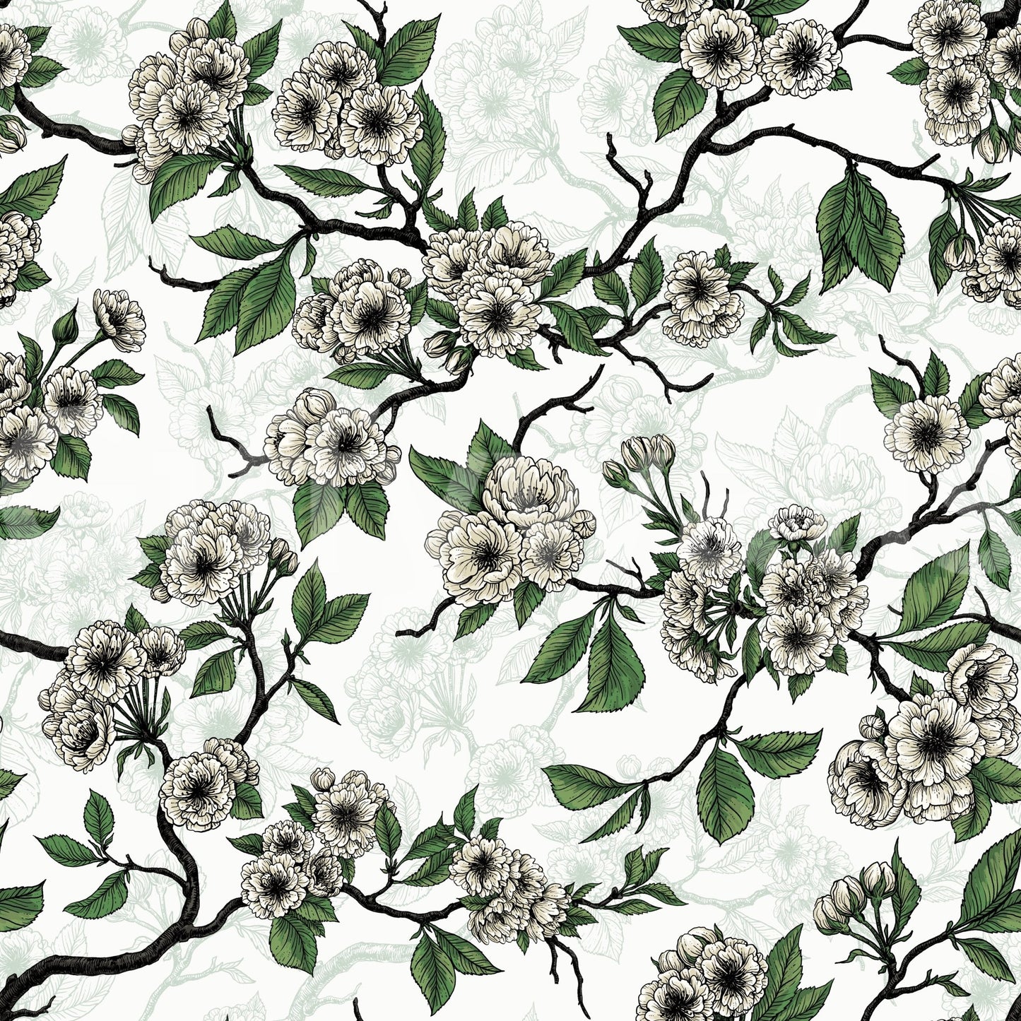 Fresh botanical styling defines Cherry Blossom on White wallpaper beautifully, GD9272