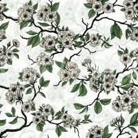 Fresh botanical styling defines Cherry Blossom on White wallpaper beautifully, GD9272