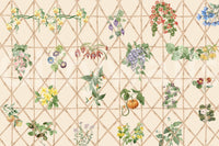 Reading corner chinoiserie floral wallpaper in calm blue tones