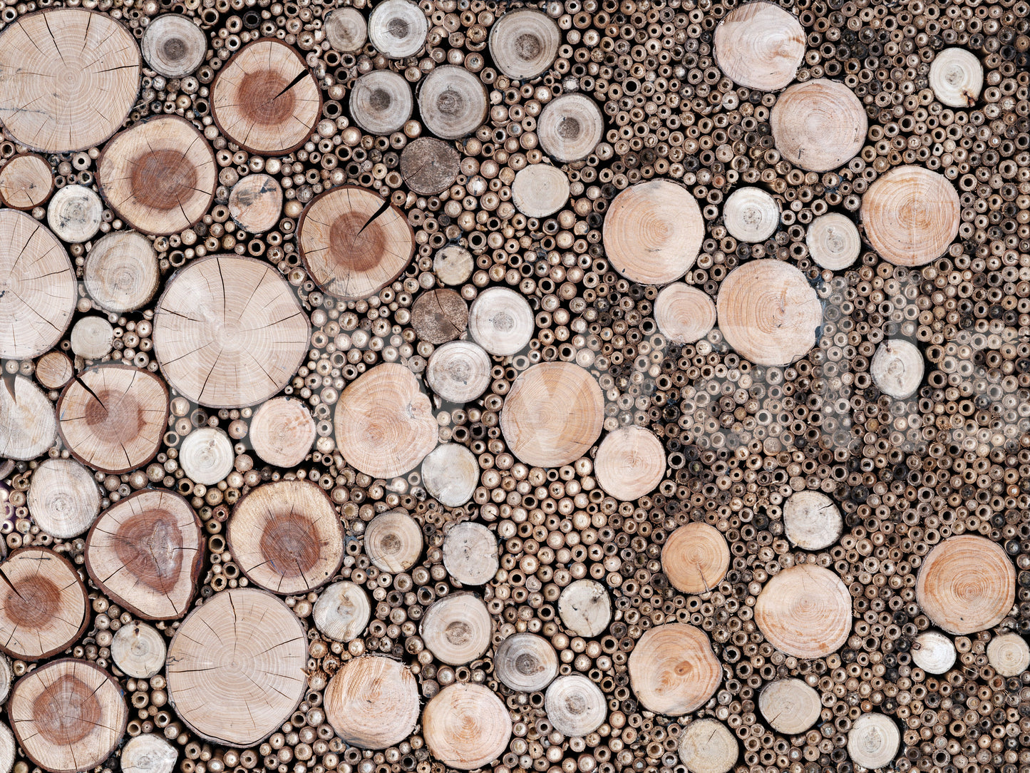 Circular Wood Array Wall Mural