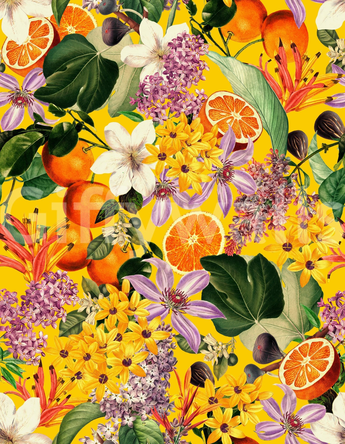 Citrus Blossom Burst Wallpaper⁠