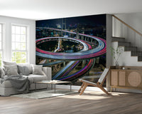 A beautiful modern art wall mural of delicate lines.