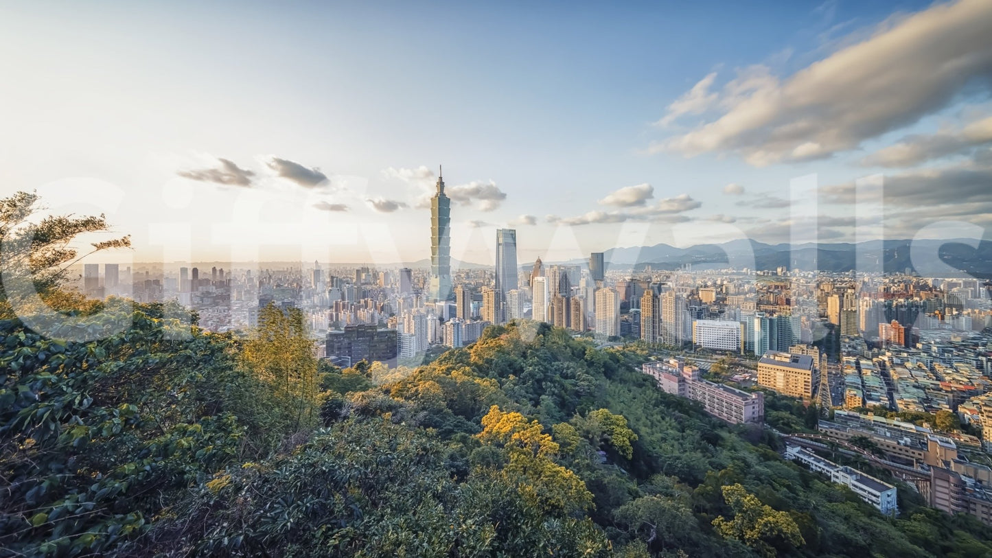 Contemporary cityscape peel and stick wall mural