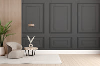 Sleek black panel design wall mural Lux-01
