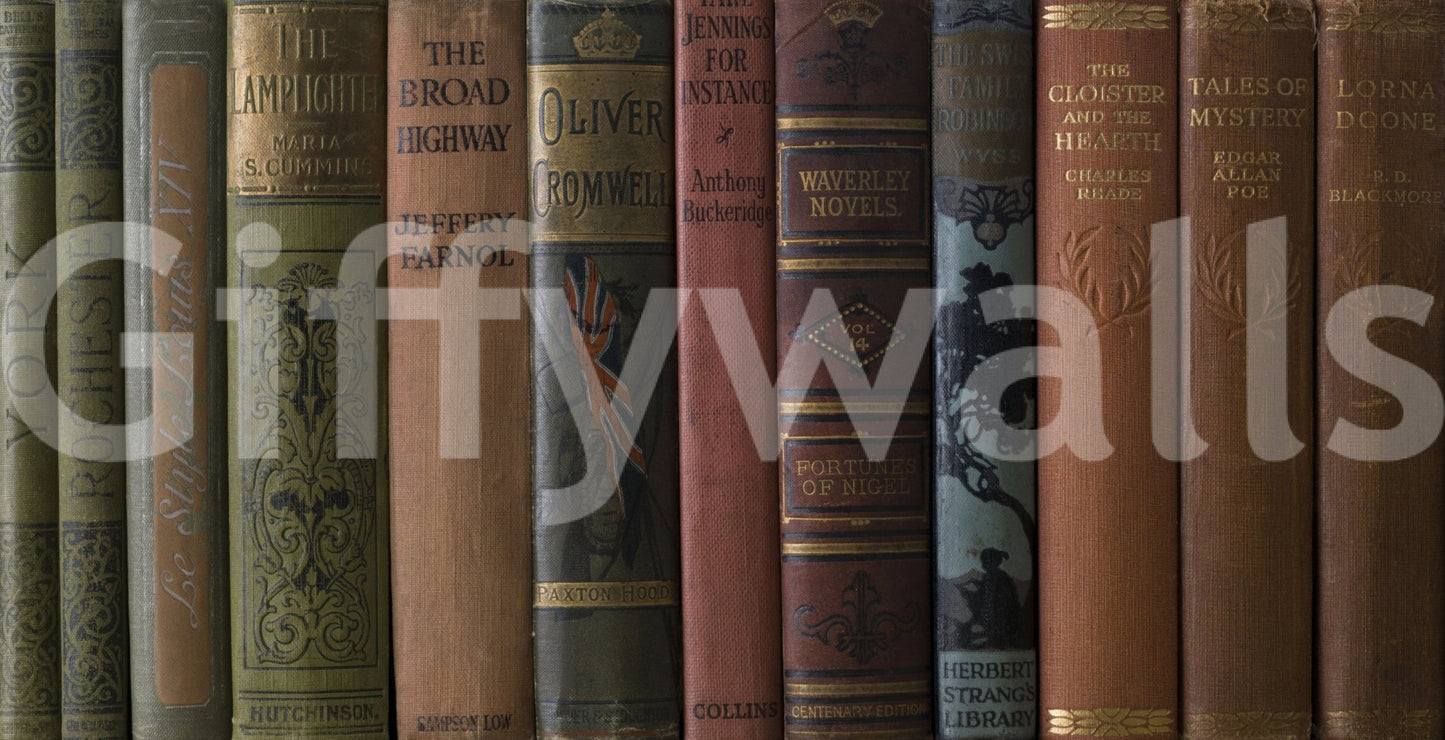 Aged library backdrop, Classic Literature Shelf premium wall design.
