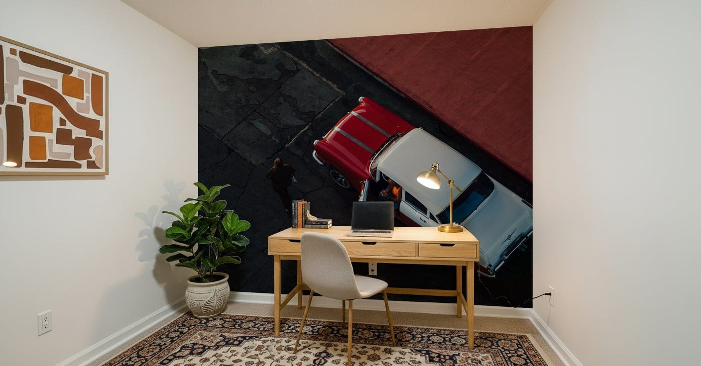 A beautiful modern art wall mural of a delicate car.