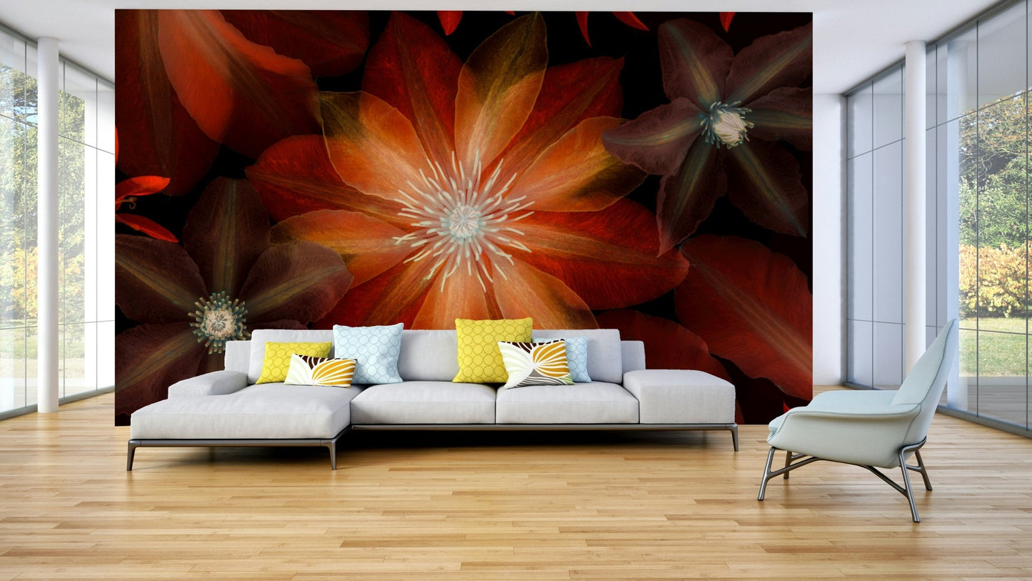 The overall mood is dramatic and sophisticated.

