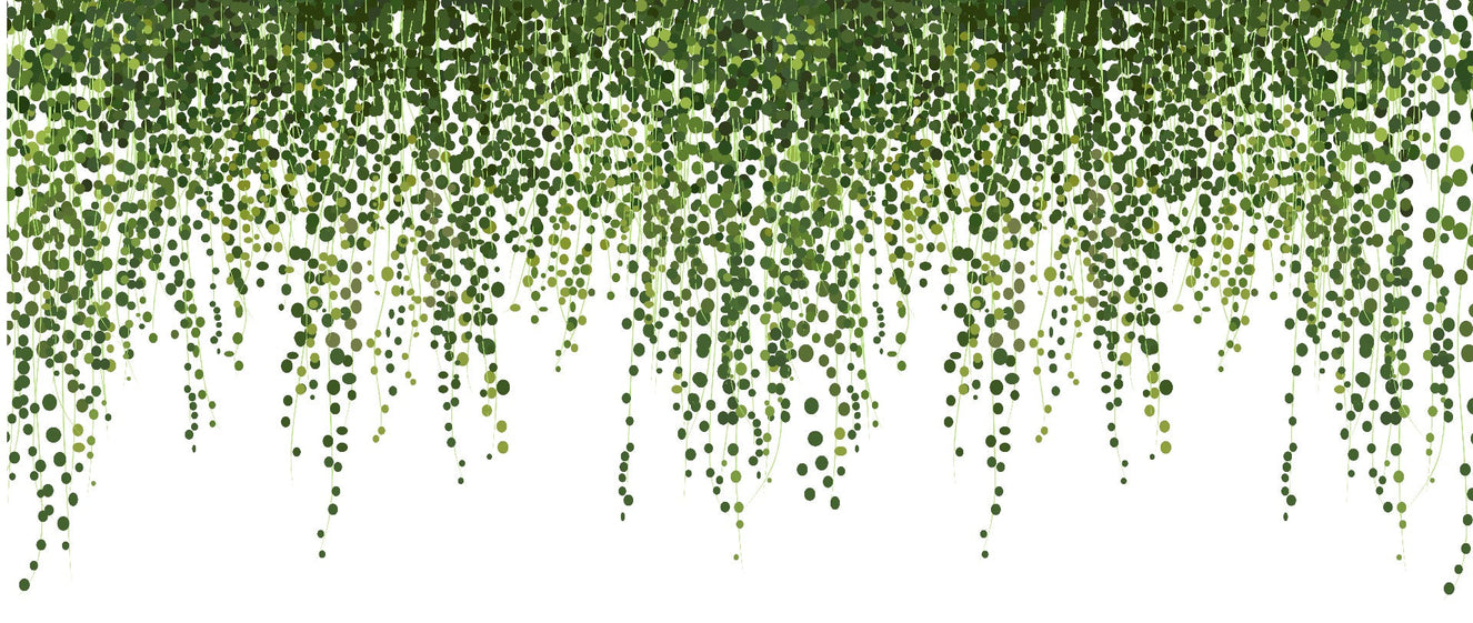 Green Hanging Ivy Leaves Wallpaper Mural