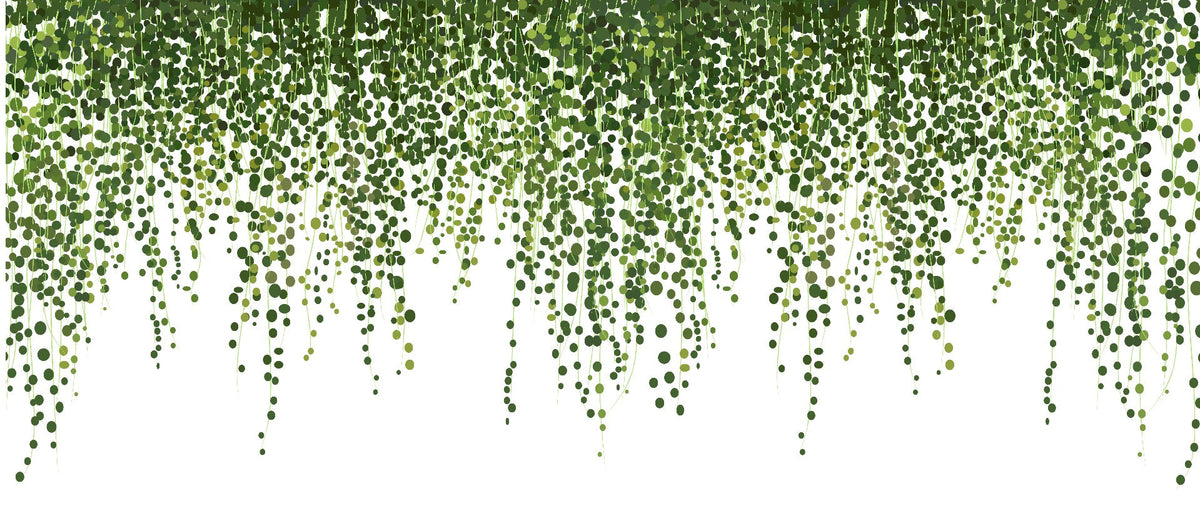 Green Hanging Ivy Leaves Wallpaper Mural in your room — zoomed