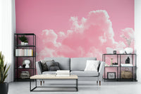 A peaceful open sky mural on decorative wallpaper.

