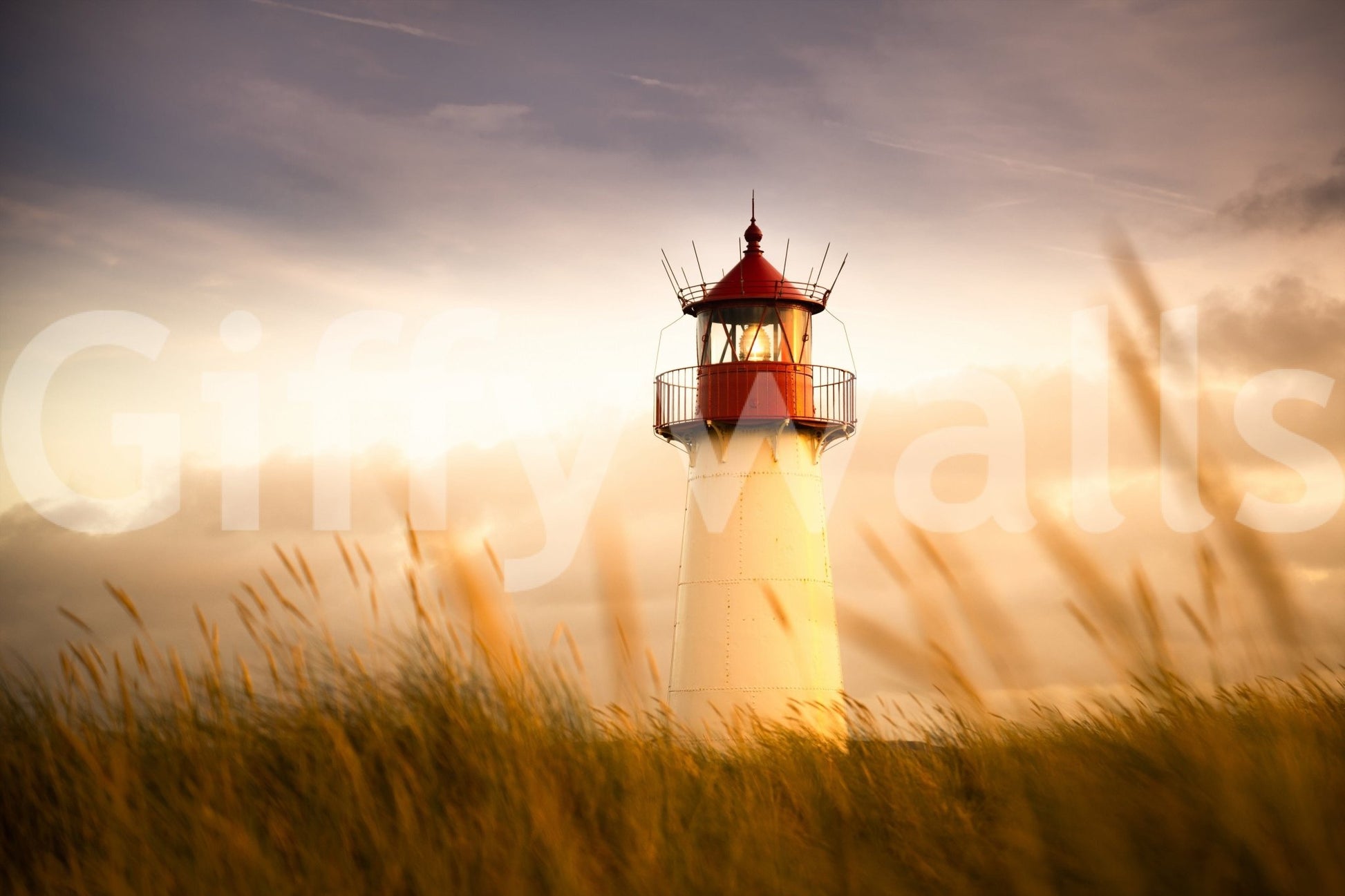 Coastal Beacon's Sunset Glow Wall Mural for a professional workspace backdrop wallpaper.