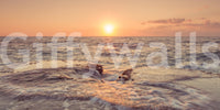 Rocky shoreline Coastal Dawn Wall Murall dramatic light., GD6442