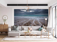 Moody shoreline captured in Coastal Horizon Flow wall mural