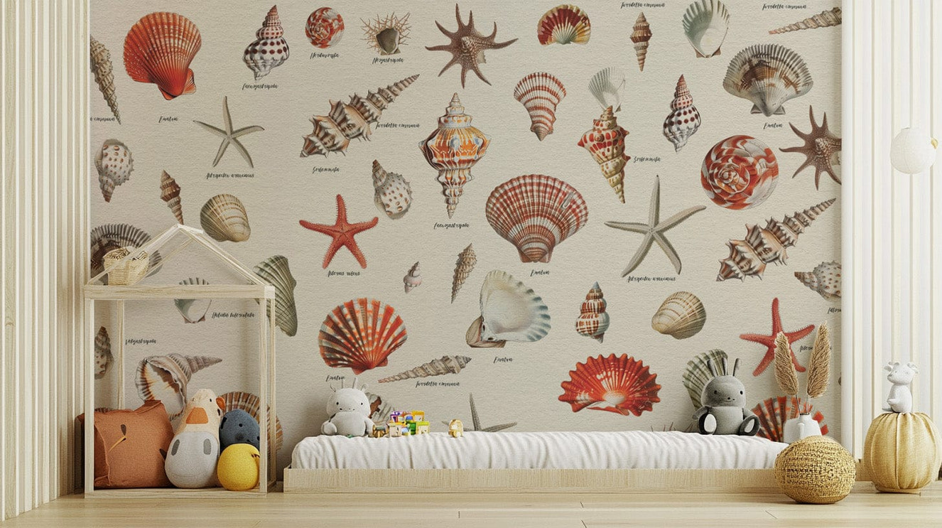 Serene seashells beach-inspired wallpaper