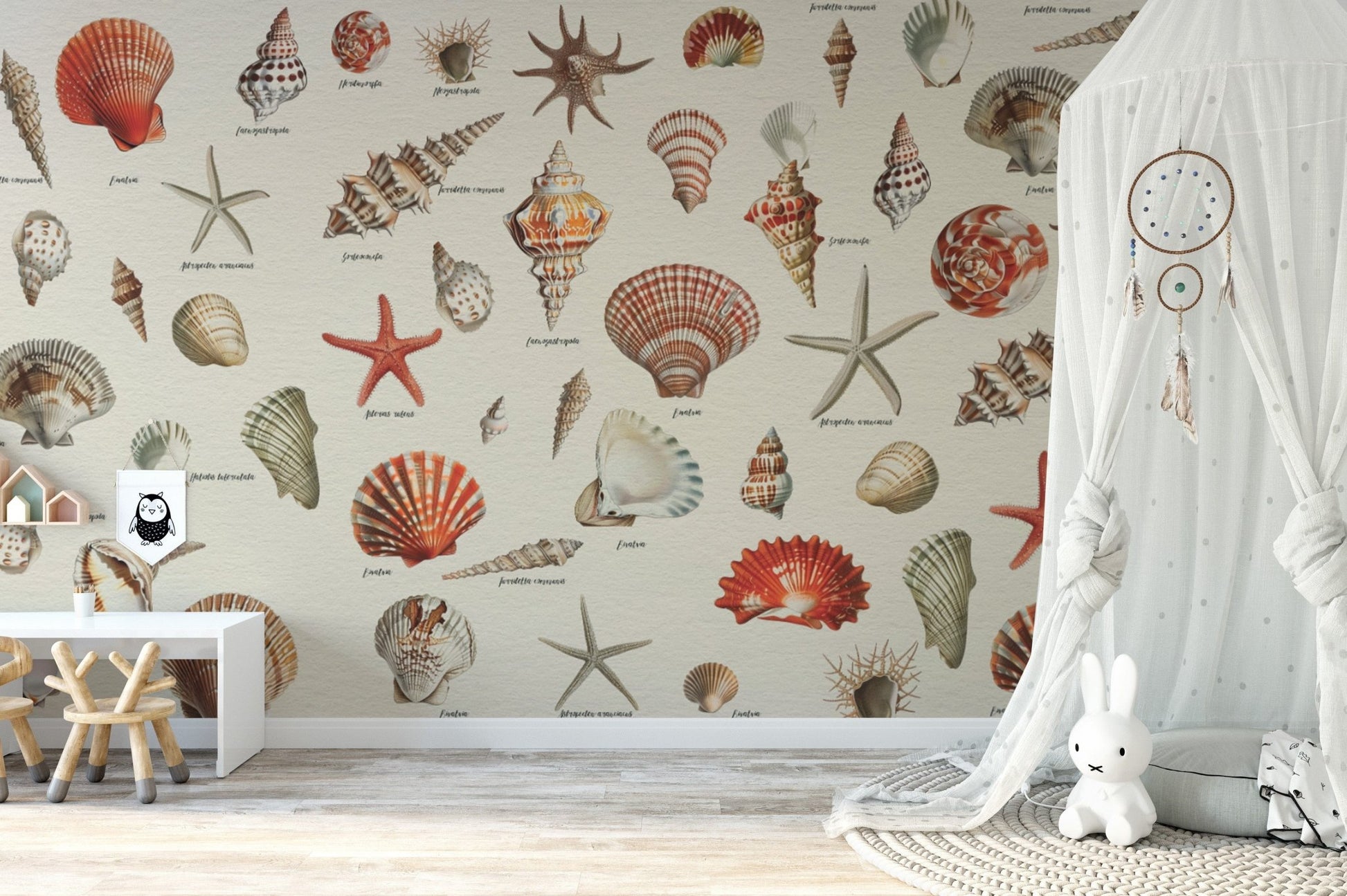 Delicate marine shells wallpaper décor