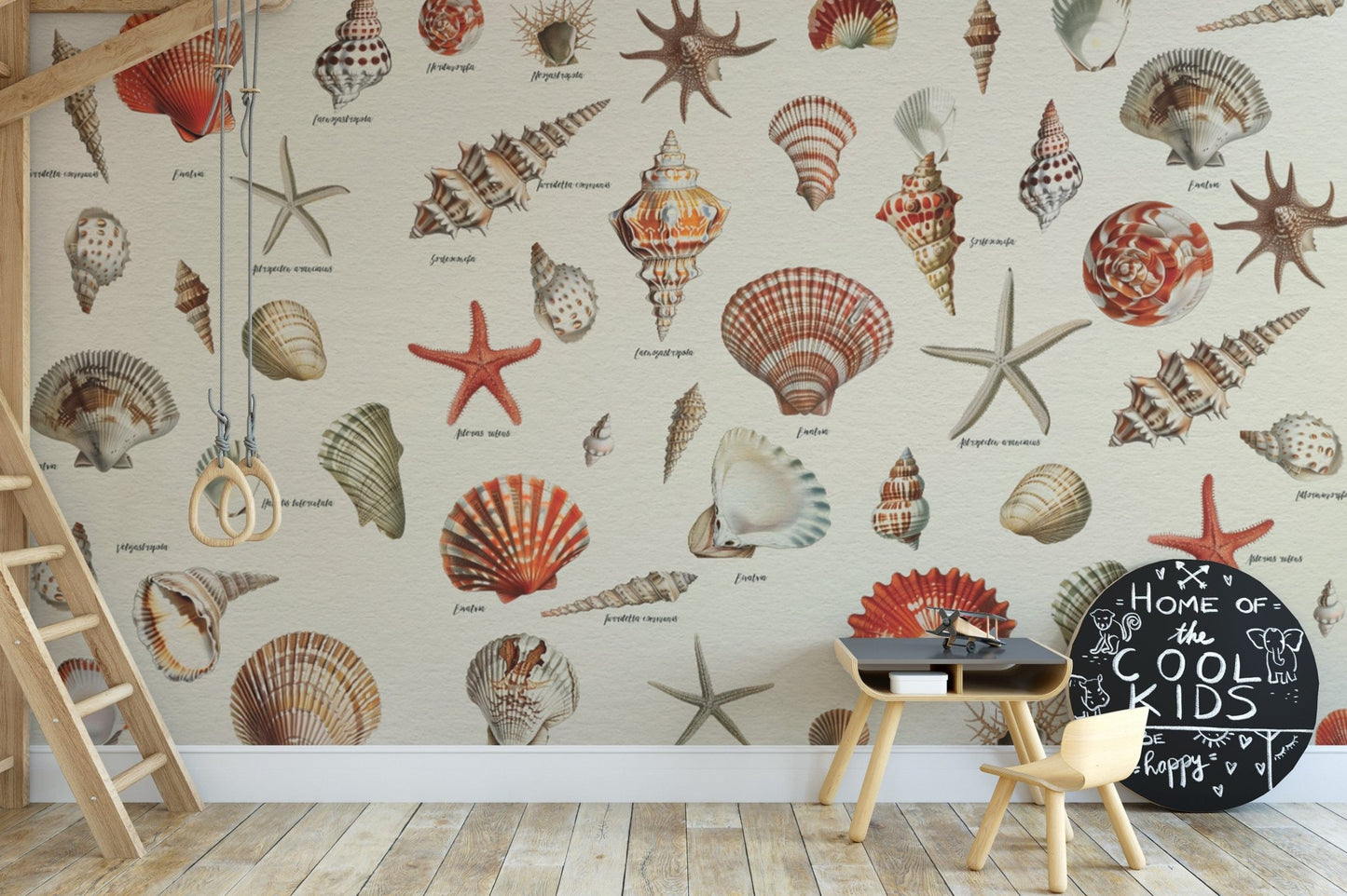 Underwater seashell beauty wallpaper