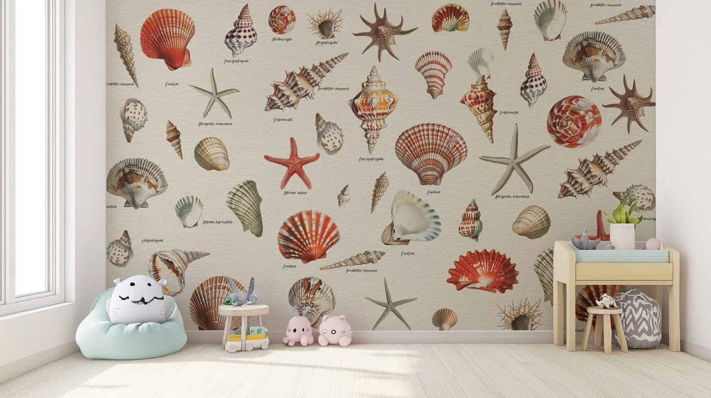 Ocean treasures coastal wall design