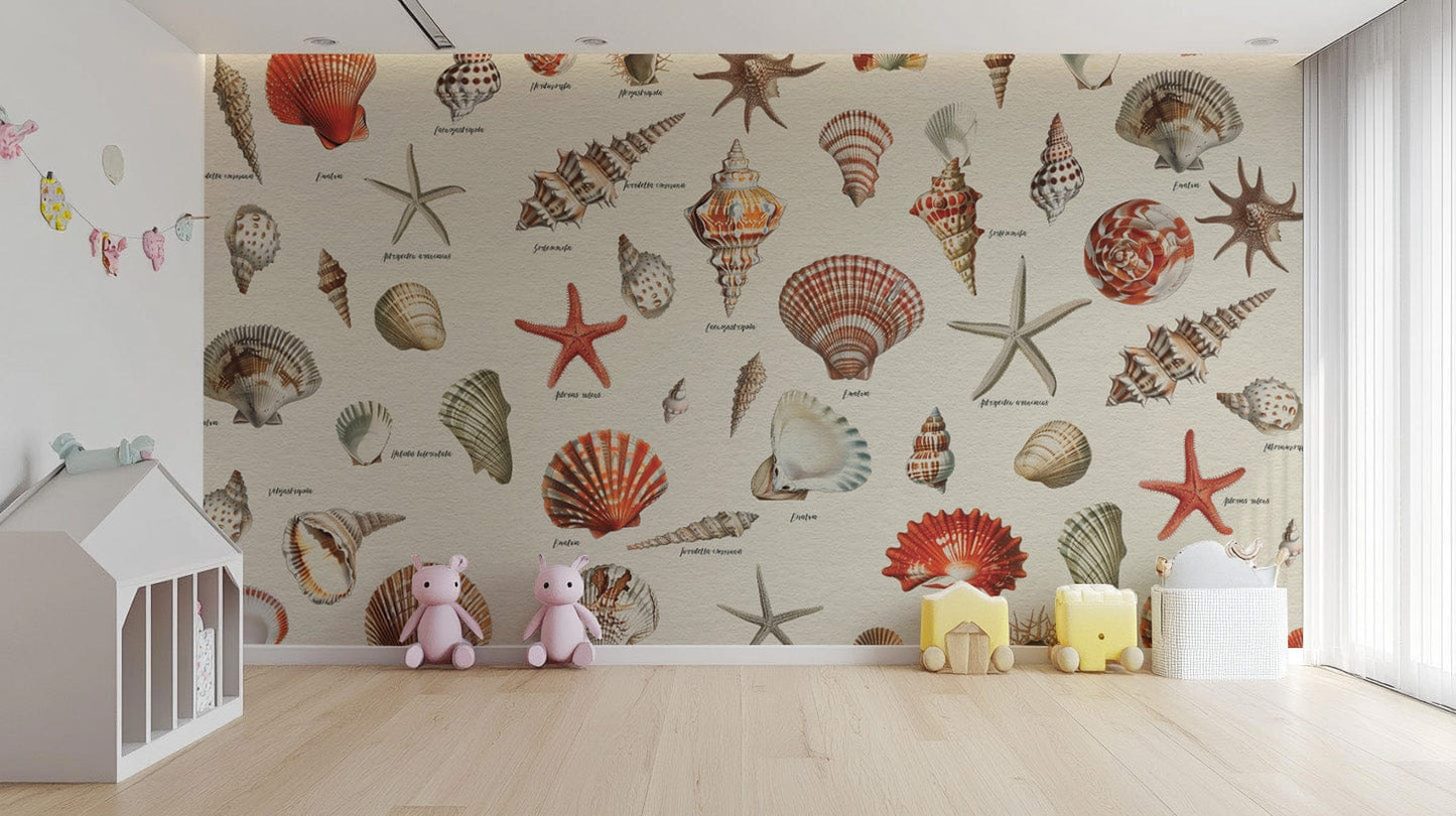 Nautical beach shells pattern décor