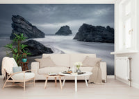 An artistic nature seascape mural for home decor.