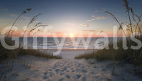 Serene coastline path with waves and sunset backdrop GD454

