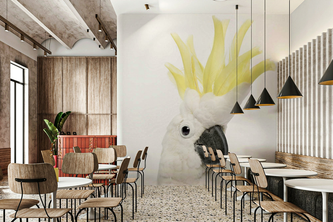 Cockatoo wall mural with tropical leaves

