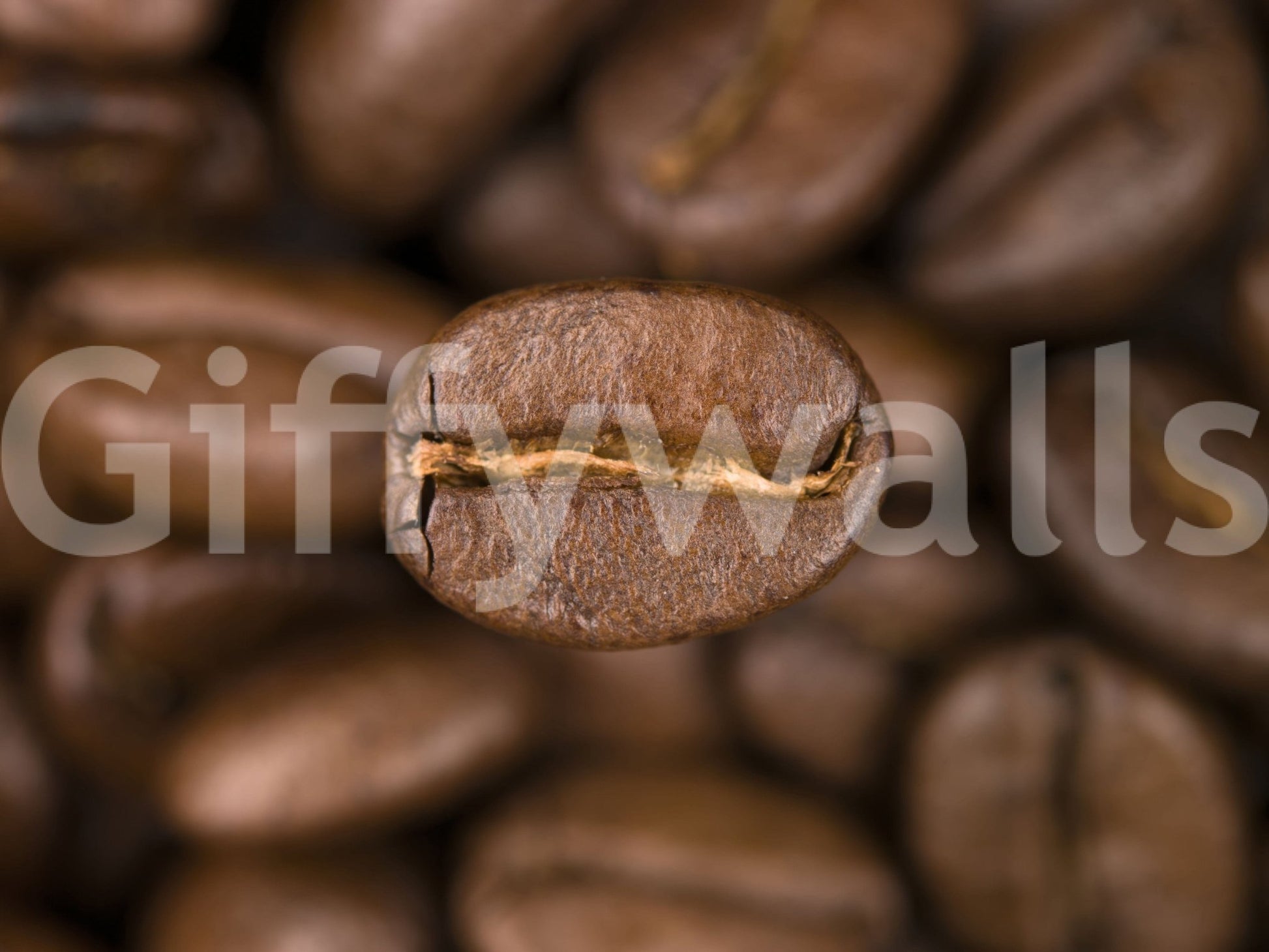 Wallpaper of flavorful coffee grain pattern and texture.