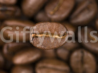 Wallpaper of flavorful coffee grain pattern and texture.