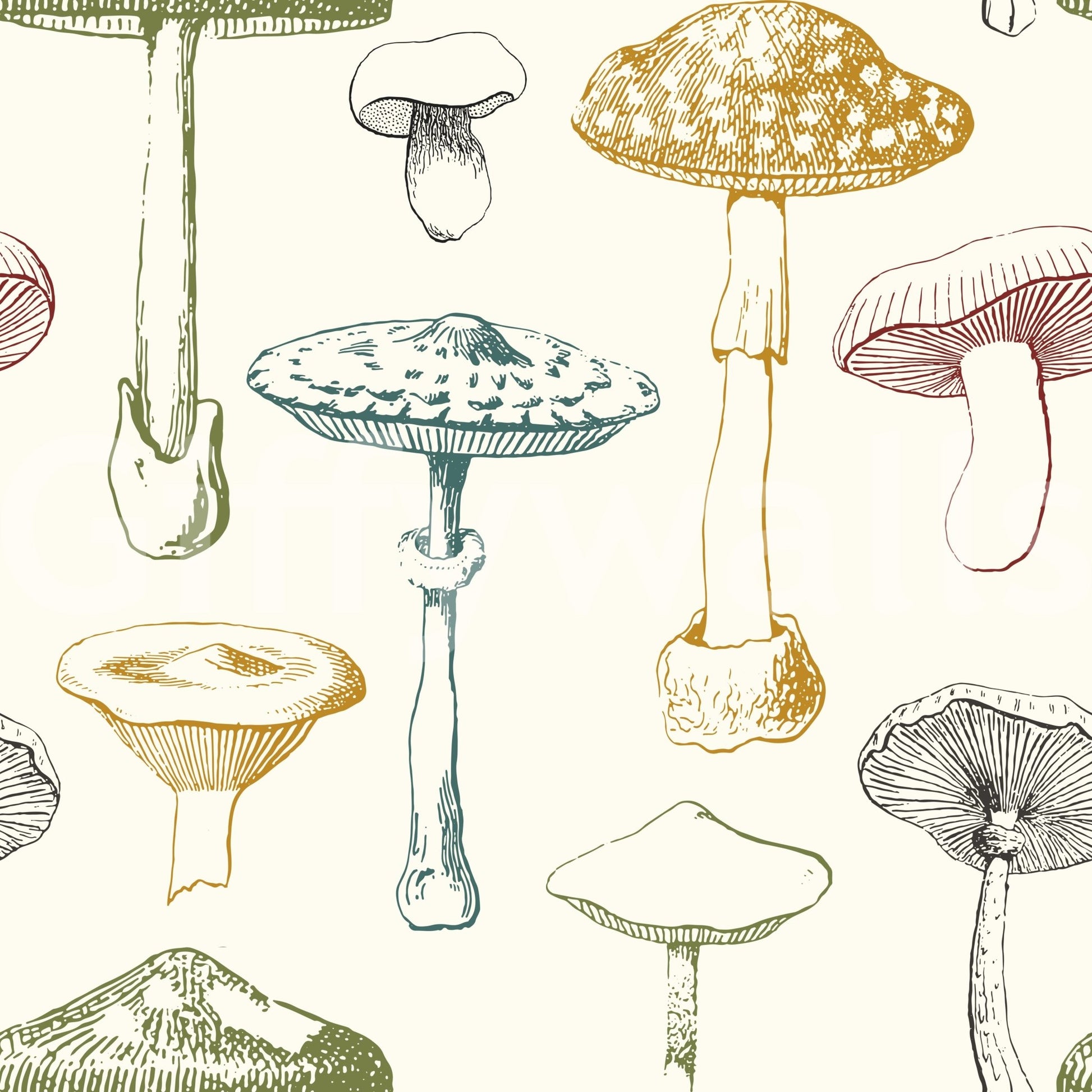 Delicate fungi motif in Collection of Mushrooms wallpaper