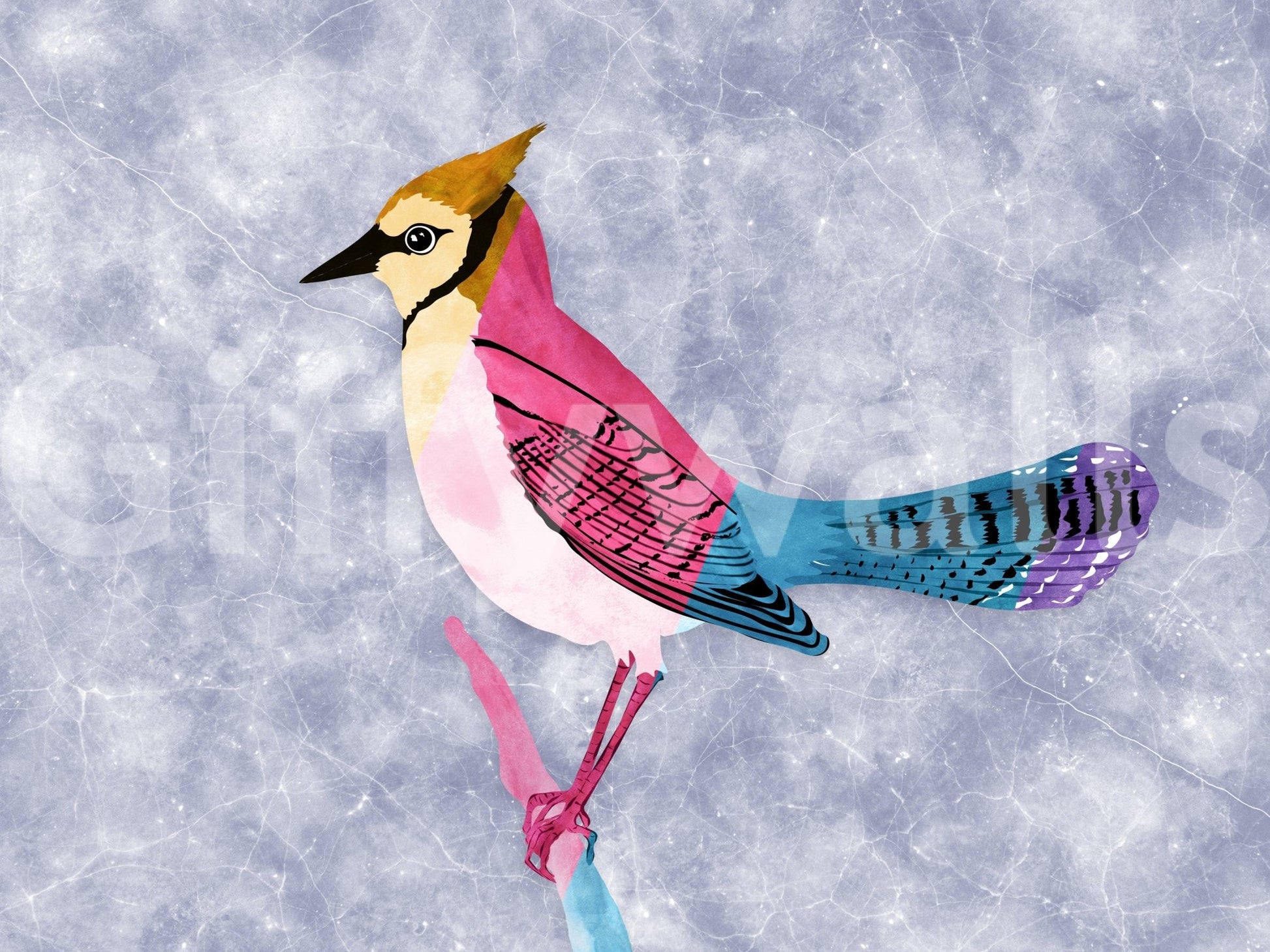 Corner light emphasizing the geometric Colorful Jay print.