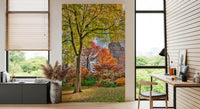 Park scene wall mural with green and orange leaves for a peaceful room