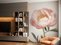 Peony bloom wallpaper for walls

