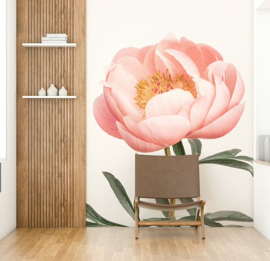 Coral Peony Wall Mural showcasing vibrant coral peonies in full bloom, GD2664