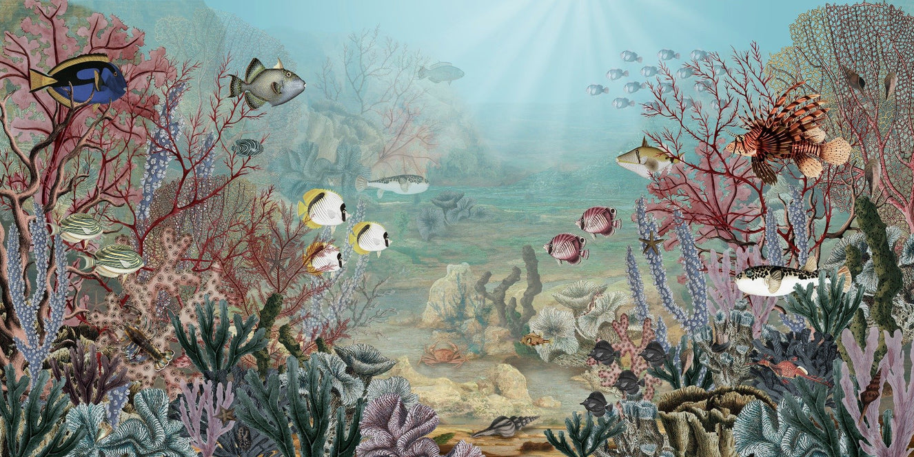 coral creatures wonderland wall murals