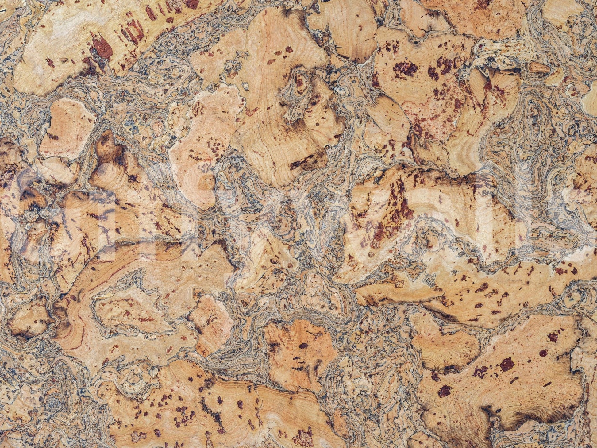 Textured wall mural resembling cork canvas surface.