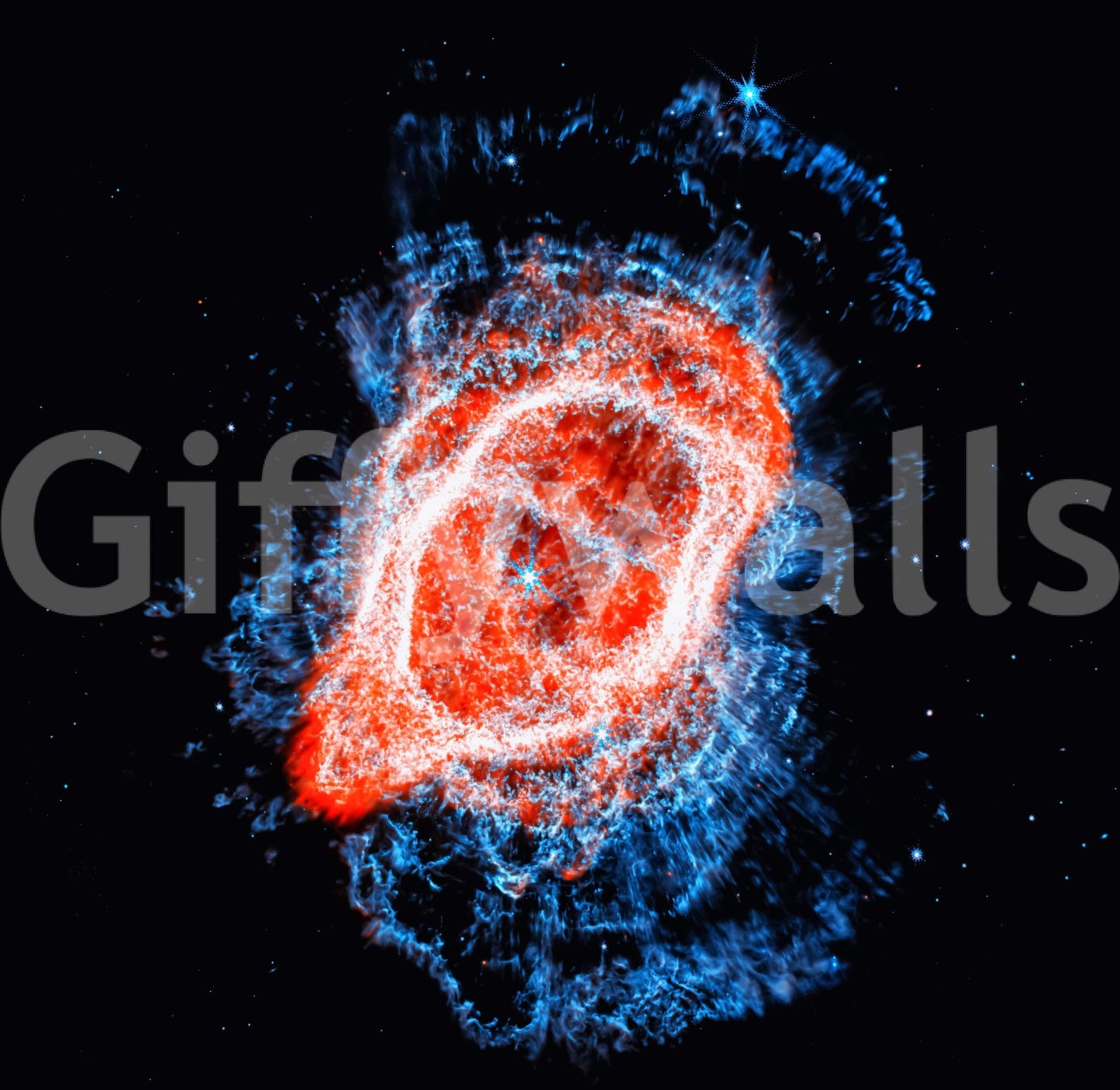 Cosmic Bloom Wall Mural wallpaper mural for a sophisticated dining area.