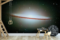 The image has a soft, painted look.

