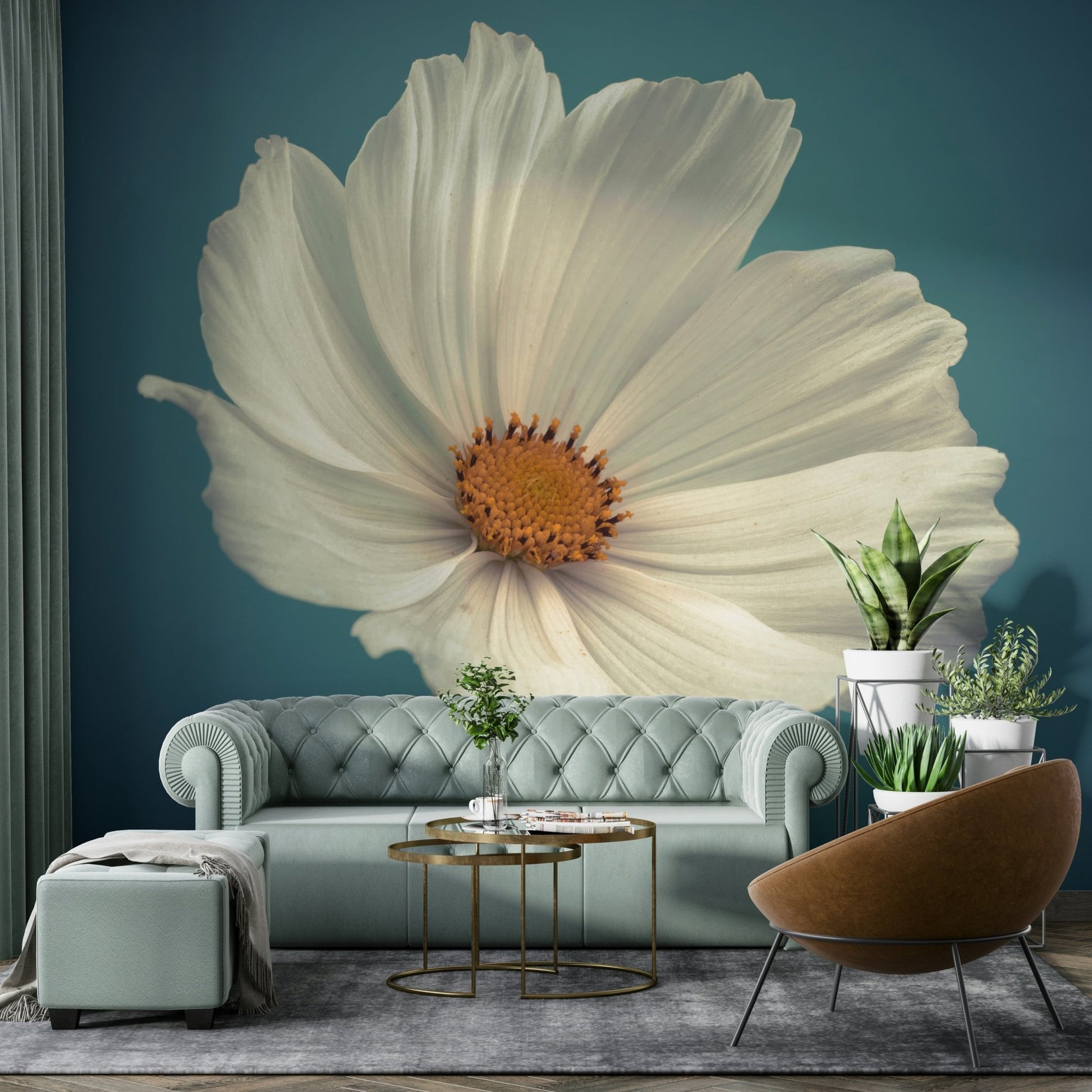 Subtle colors of the cosmos flower enhancing room decor

