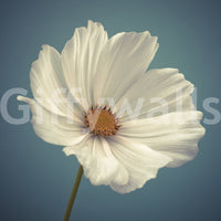 A peaceful floral mural perfect for nature-inspired interiors

