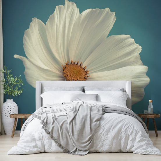 Cosmos Blooms Wall Mural featuring a single delicate flower, GD2315