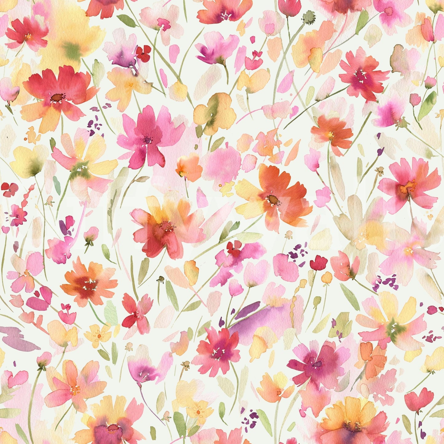 Colorful cosmos wallpaper

