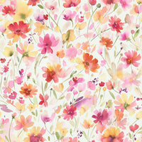 Colorful cosmos wallpaper

