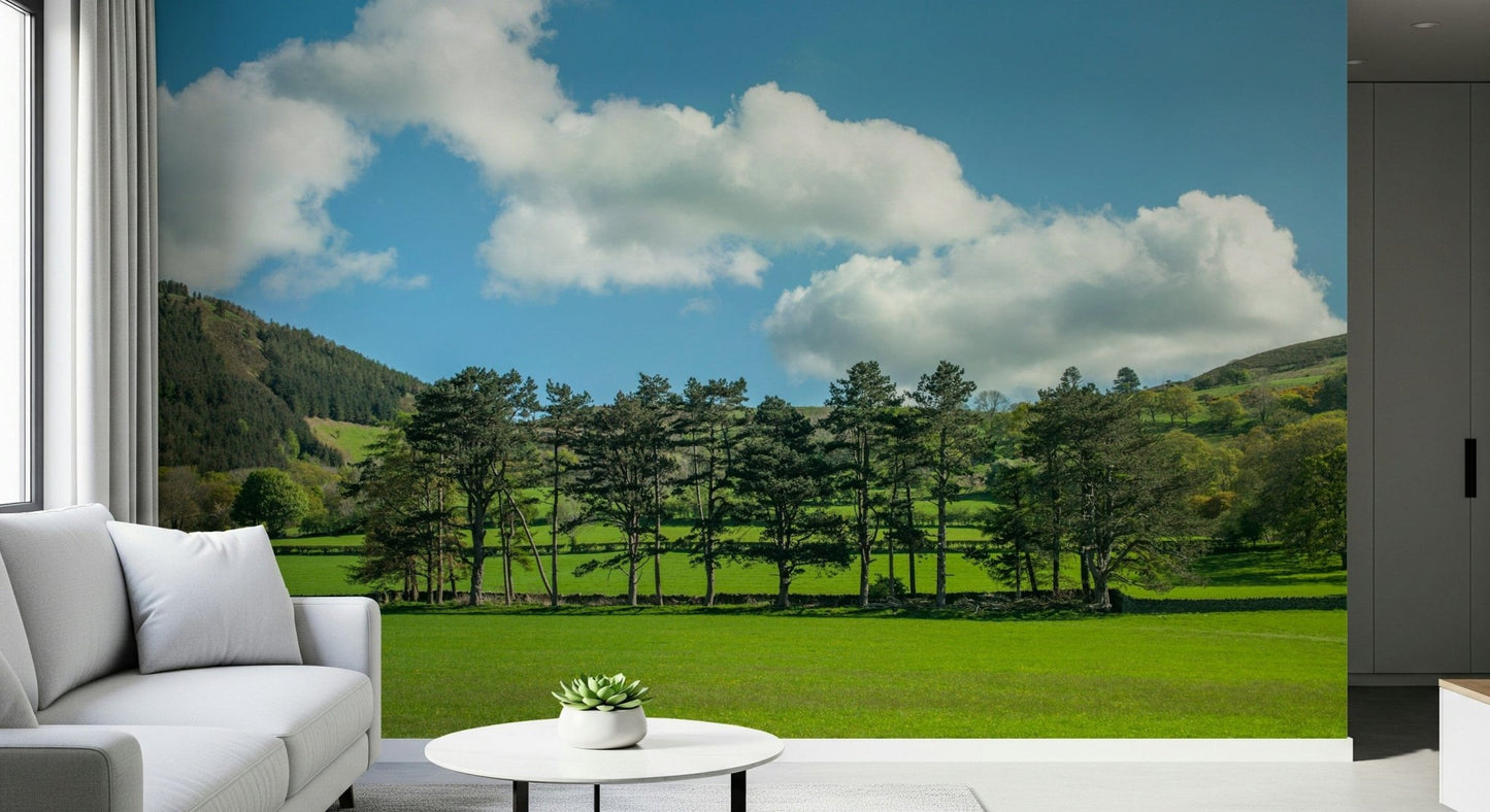 Rustic landscape wall mural for a home office environment.