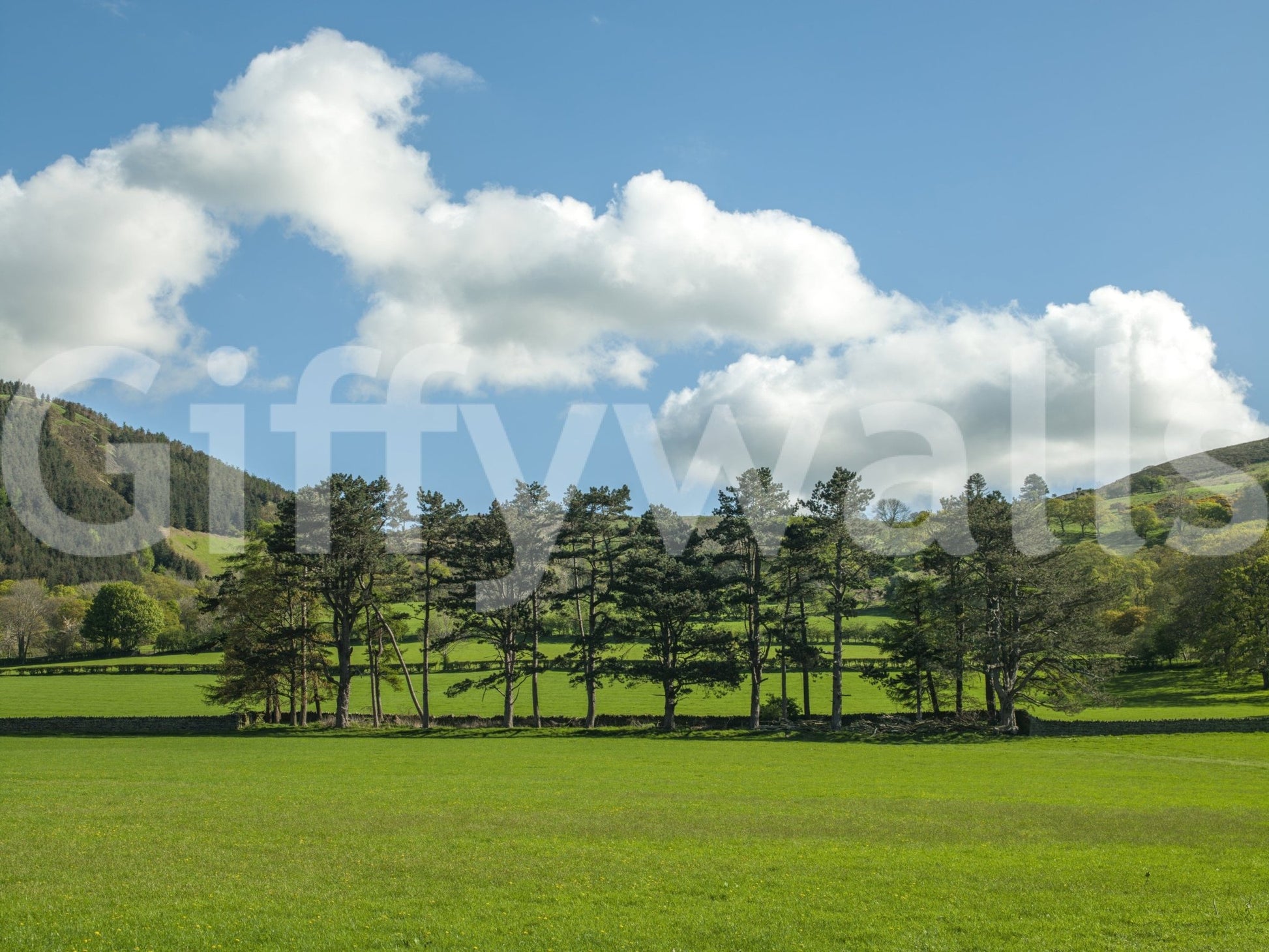 Green landscape wallpaper for a serene reading nook area.