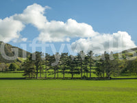 Green landscape wallpaper for a serene reading nook area.