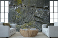 Dining room featuring cracked stone wallpaper for walls.