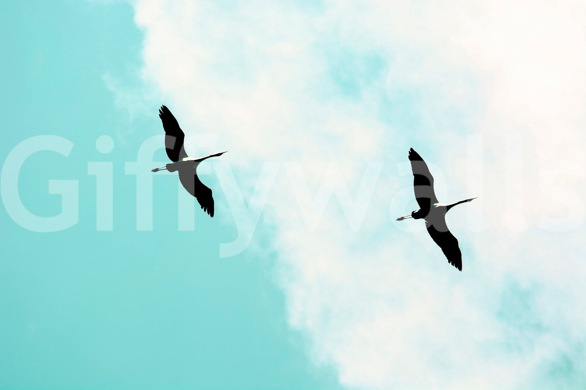 A high-quality abstract bird wall mural for walls., GD4852