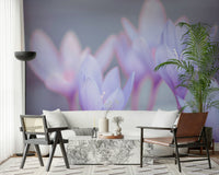 Soft focus Crocus wall mural for bedroom decor., GD7115