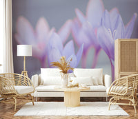 Ethereal Crocus floral wall mural background print., GD7115